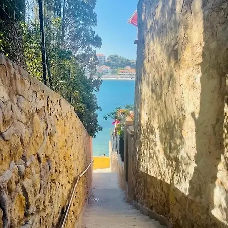 Coeur Du Village *